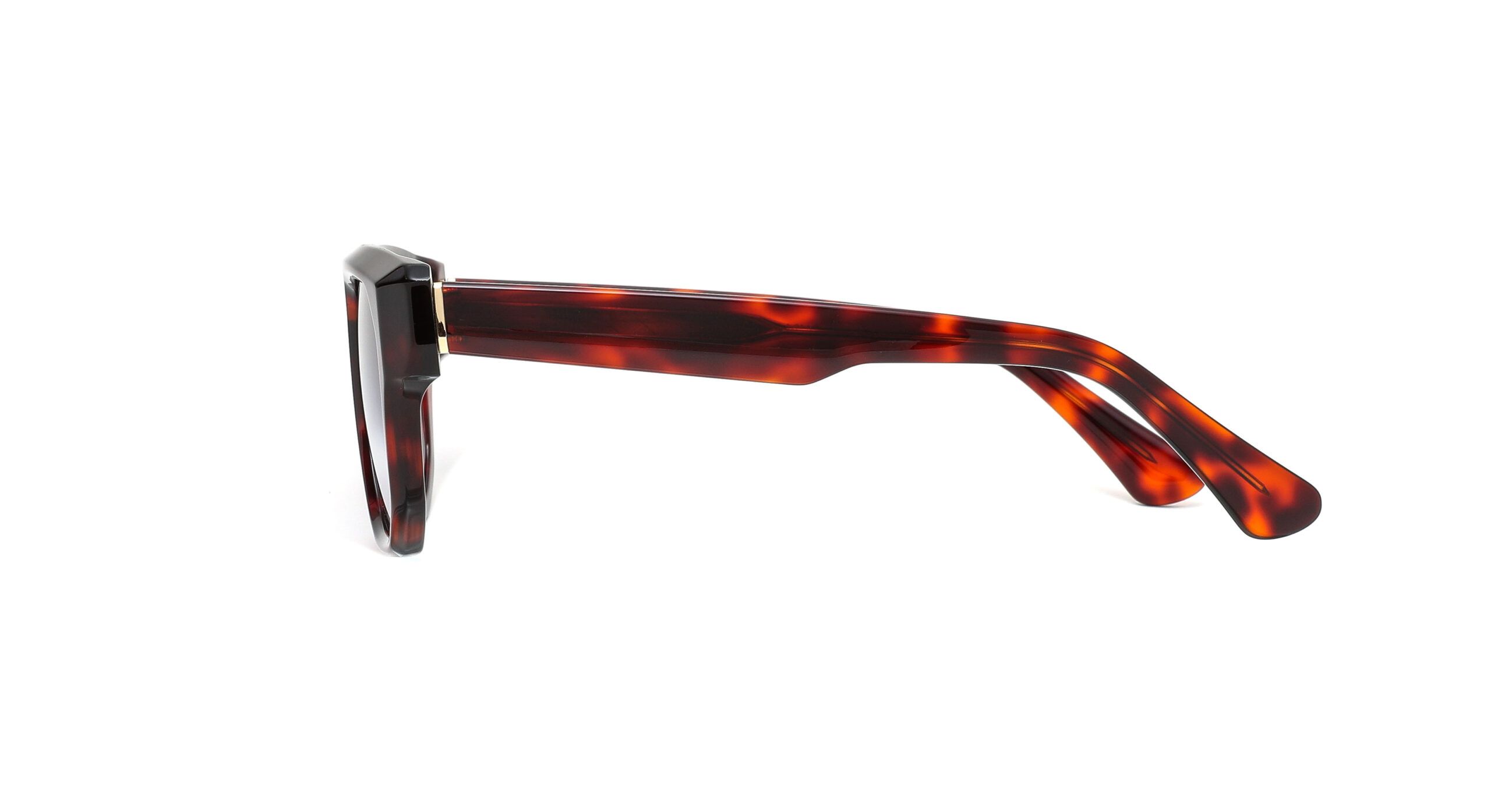 DV0146 C02 S.Trot Sun